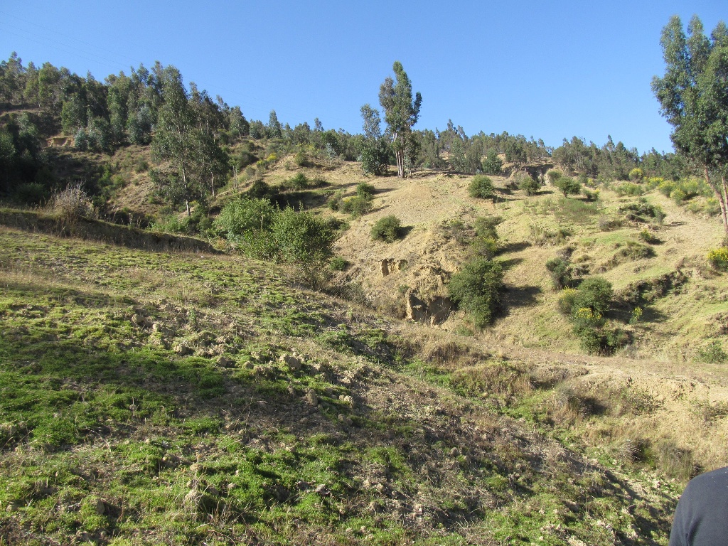 CC Muquiyauyo