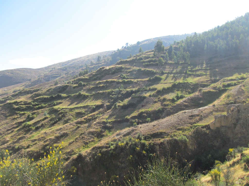 CC Muquiyauyo