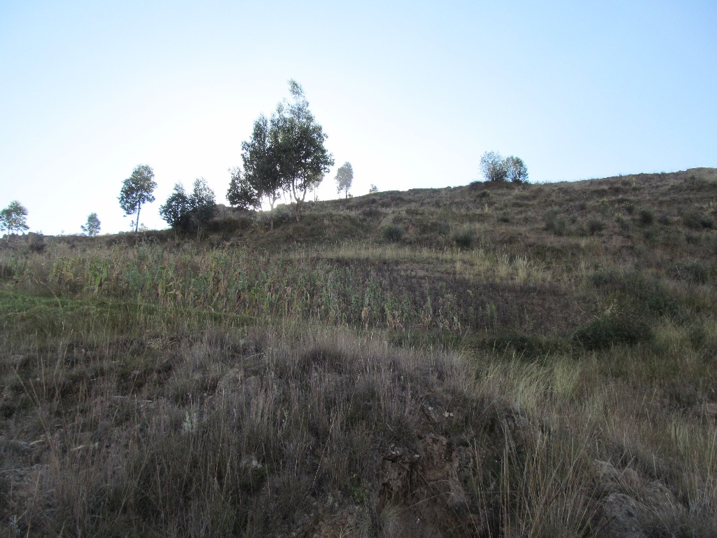CC Muquiyauyo