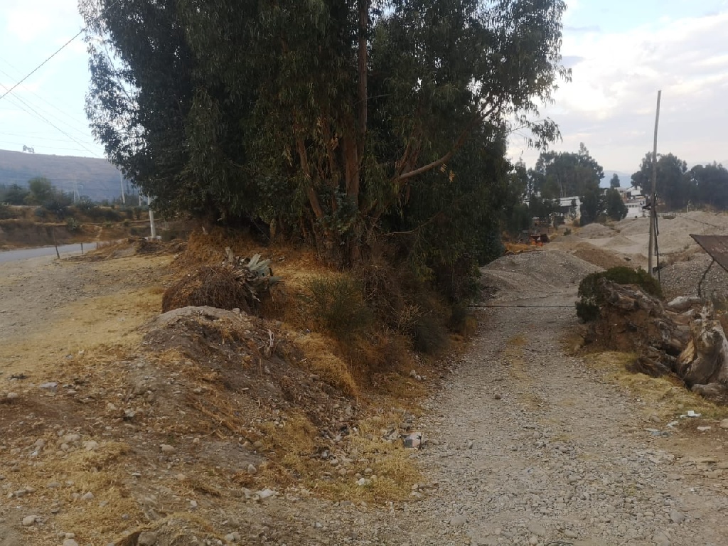 CC Muquiyauyo