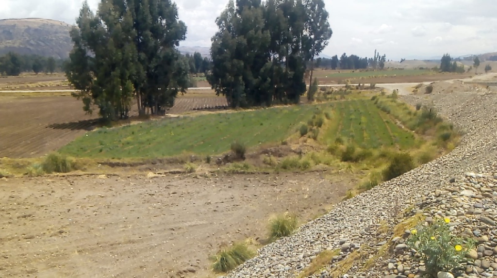 CC Muquiyauyo