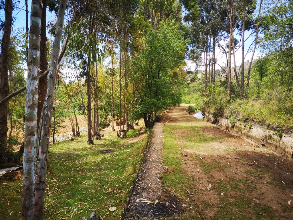 CC Muquiyauyo