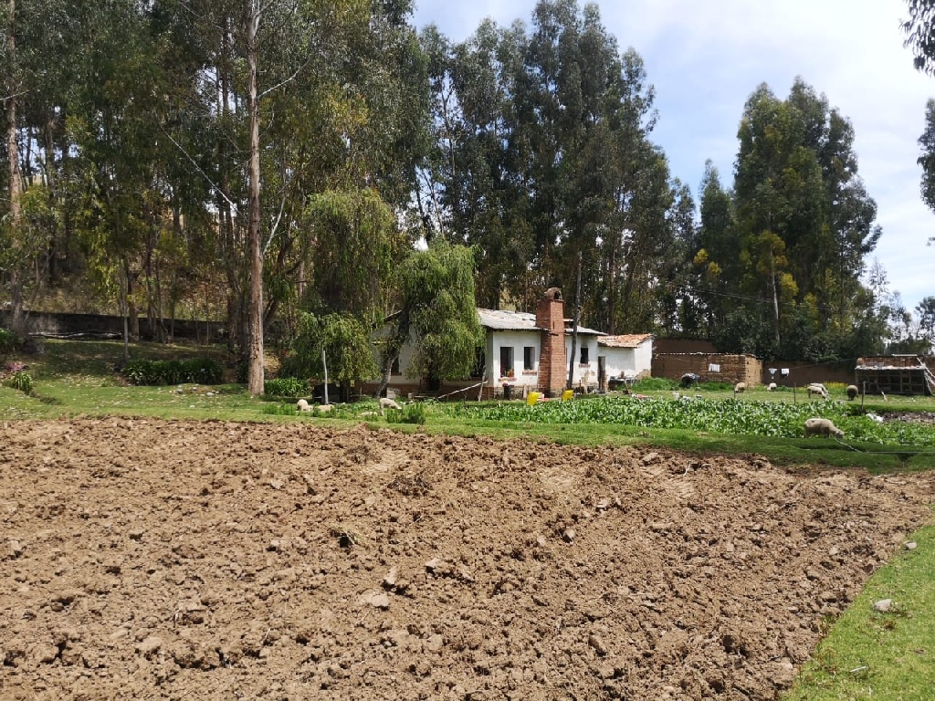 CC Muquiyauyo