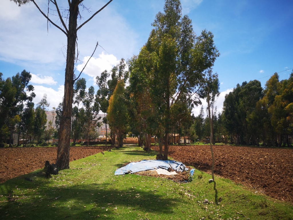 CC Muquiyauyo