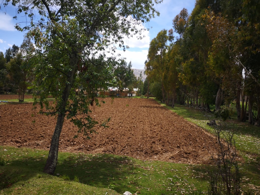 CC Muquiyauyo