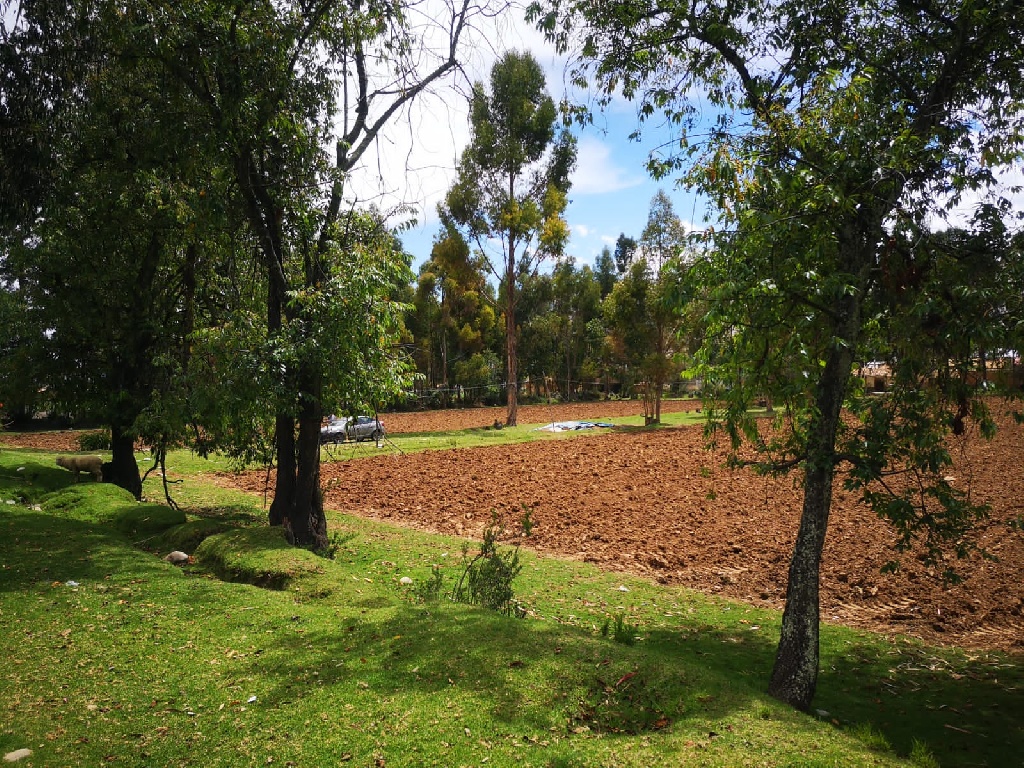 CC Muquiyauyo