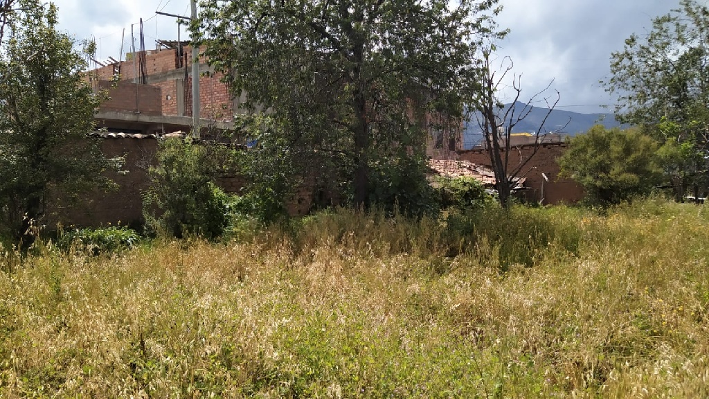 CC Muquiyauyo