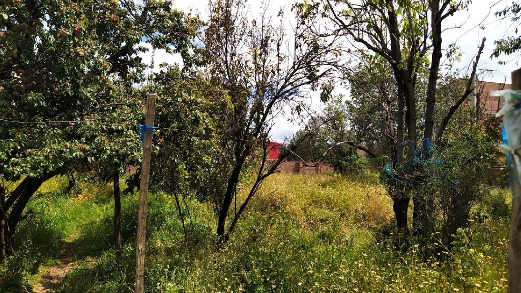 CC Muquiyauyo